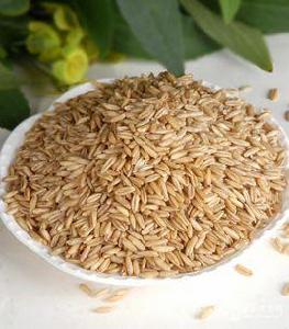 白燕10號 白燕10號