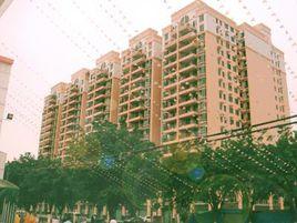 鳳城花園 鳳城花園