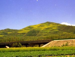 河湟谷地 河湟谷地