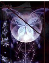 左冷蝶·幕 左冷蝶·幕