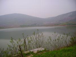芝山村[江蘇省南京市溧水區晶橋鎮下轄村芝山村]