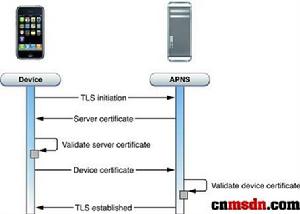 物理連線上的認證：SSL/TLS連結