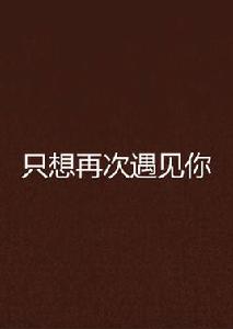 只想再次遇見你 只想再次遇見你