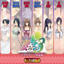 妻中蜜3 妻中蜜3