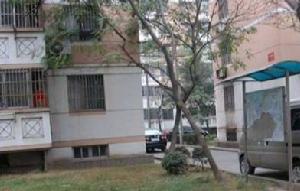 新莊西村 新莊西村