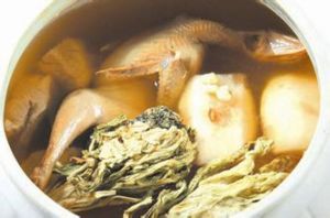 川貝燉鷓鴣 川貝燉鷓鴣