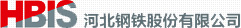 河北鋼鐵股份有限公司 河北鋼鐵股份有限公司