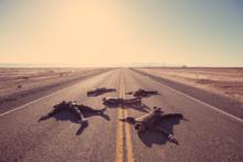 In a World Like This[Backstreet Boys 2013年發行專輯名]