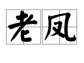 老鳳