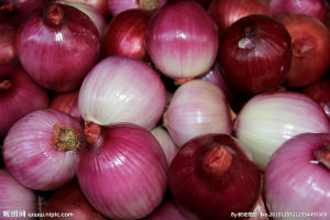 萬金洋蔥