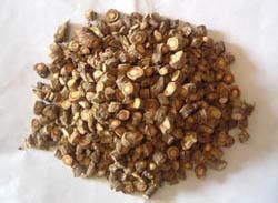 冬葵子提取物 冬葵子提取物