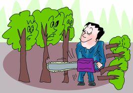 濫伐林木罪 濫伐林木罪