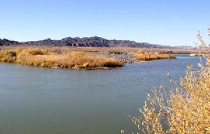 布爾根河狸國家級自然保護區 布爾根河狸國家級自然保護區