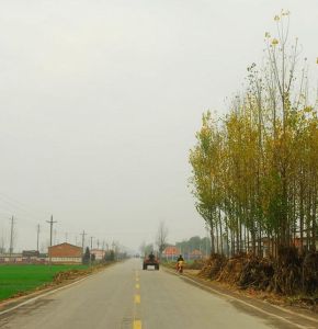 南橋鎮[東安縣]