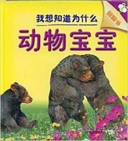 動物寶寶 動物寶寶