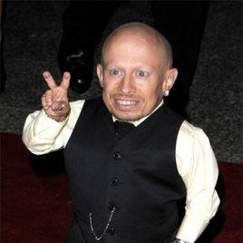 凡爾納·泰勒 凡爾納·泰勒