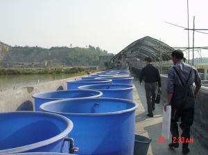 杭州蕭山海潤養殖有限公司