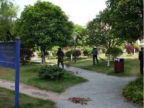 天井社區 天井社區