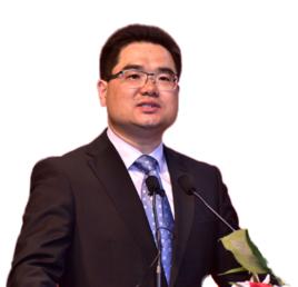 王晨[北京師範大學教育學部教授]