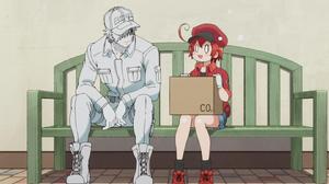 溫柔傾聽紅細胞的敘述