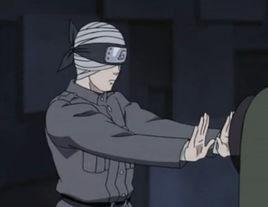 飛竹蜻蜓 飛竹蜻蜓