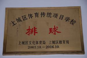 傳統項目——排球