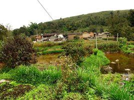 中河灣村 中河灣村