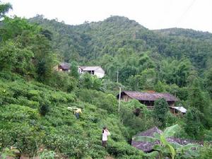 下曼海自然村 下曼海自然村