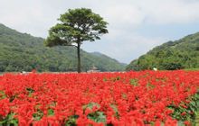 從化石門公園 國民旅遊休閒網