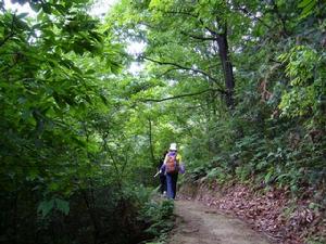 黃沙嶺古道 黃沙嶺古道