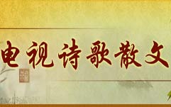電視詩歌散文