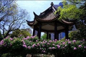 漕溪公園 漕溪公園