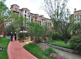 龍湖花千樹 龍湖花千樹