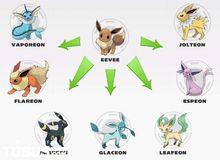 伊布及其進化型