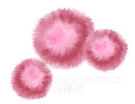 紫球藻科 紫球藻科