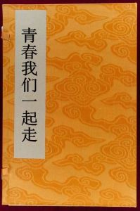 青春我們一起走 青春我們一起走