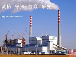 內蒙古岱海發電有限責任公司 內蒙古岱海發電有限責任公司