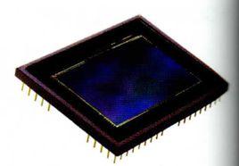 面陣晶片 面陣晶片