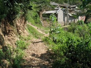 上大灣村 上大灣村