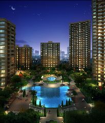 東潤楓華 東潤楓華