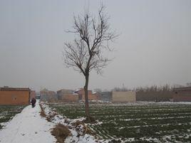 上莊村[河南省博愛縣月山鎮上莊村]