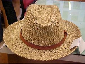 大理草帽 大理草帽