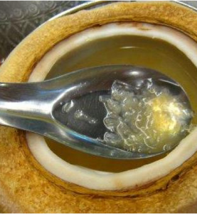 椰子燕窩 椰子燕窩