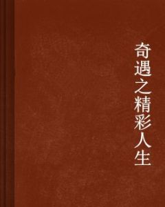 奇遇之精彩人生