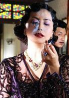 野玫瑰不流淚[2008年劉曉慶、田麗主演電視劇]