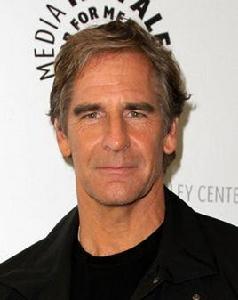 斯科特·巴庫拉 斯科特·巴庫拉