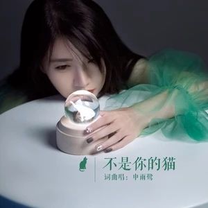 不是你的貓 不是你的貓