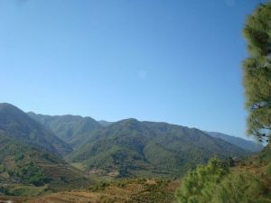 小忙代村 小忙代村