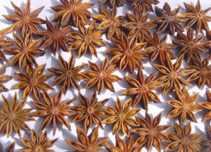 貢山八角 貢山八角