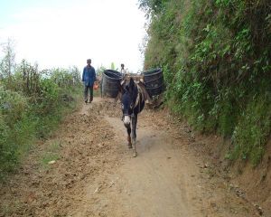崴達自然村 崴達自然村